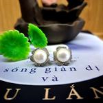 Bông Tai Ngọc Trai CHNT16